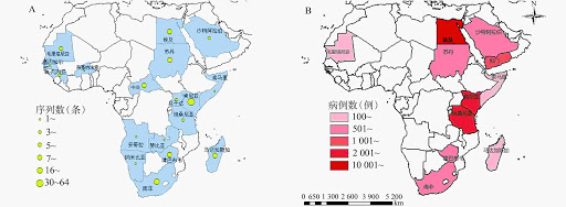 裂谷热病毒流行特诊及遗传进化分析